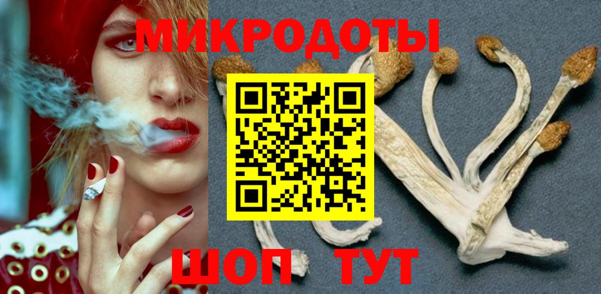 Галлюциногенные грибы Psilocybe  Вход с VPN  Алапаевск 